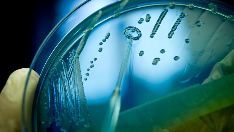 jthh-bio-460.jpg jthh-bio-460.jpg