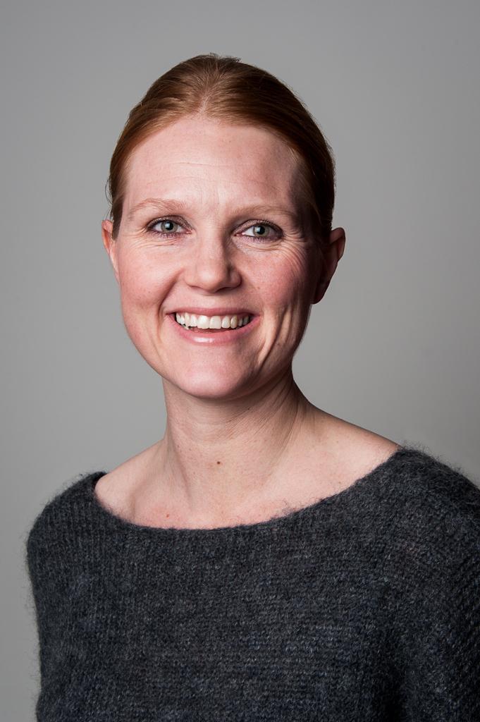 Bilde av Stien, Hanne Hammer