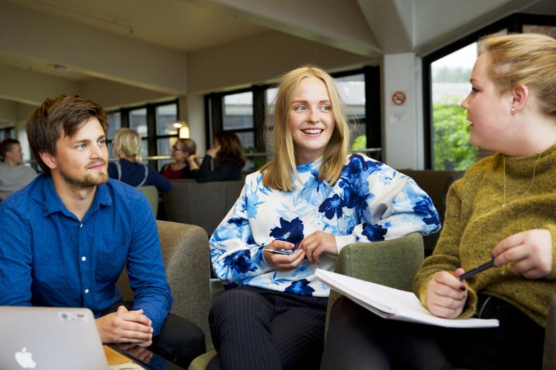 Statsvitenskap bachelor Statsvitenskap bachelor
