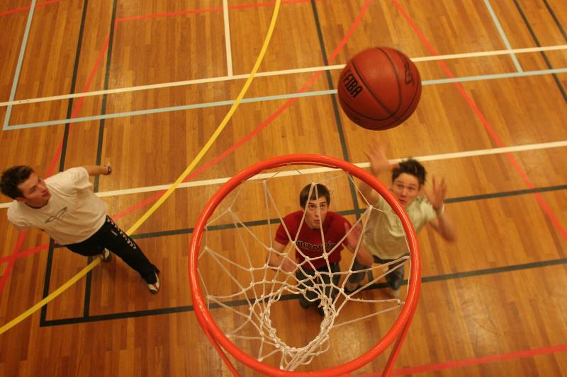 basket.jpg basket.jpg