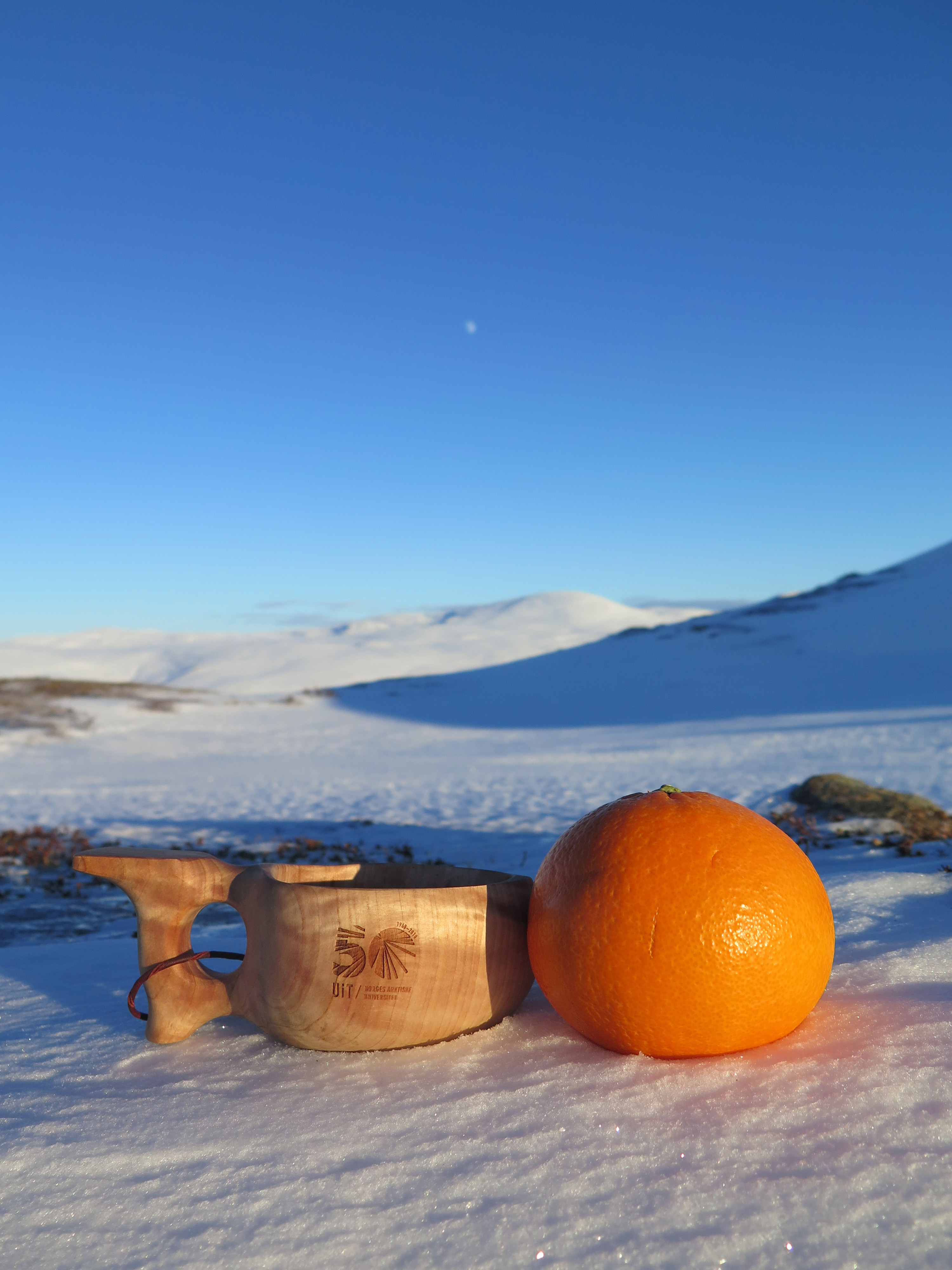 Appelsin og kopp3.jpg