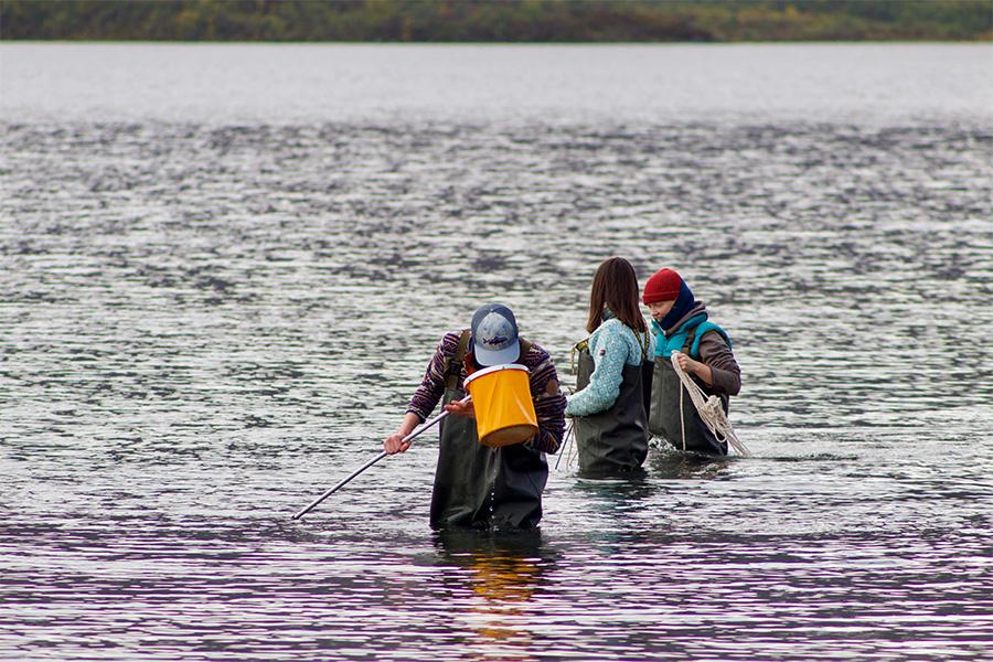  Bilde-Freshwater Ecology