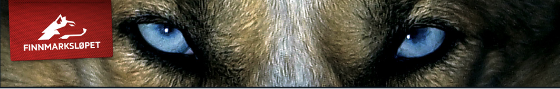 Kari2.png