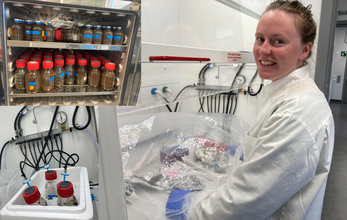  Bilde-Molecular Environmental Biology
