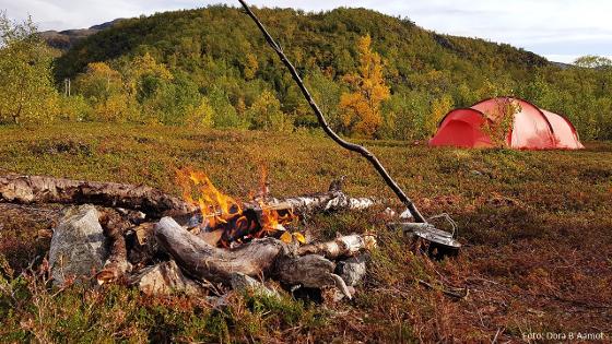 Hemmeligvann.jpg