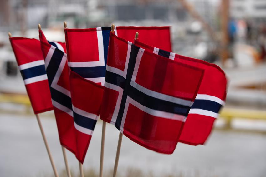 mange sm&aring; norske flagg 
