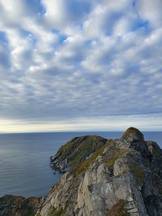 Tarhalsen.jpg