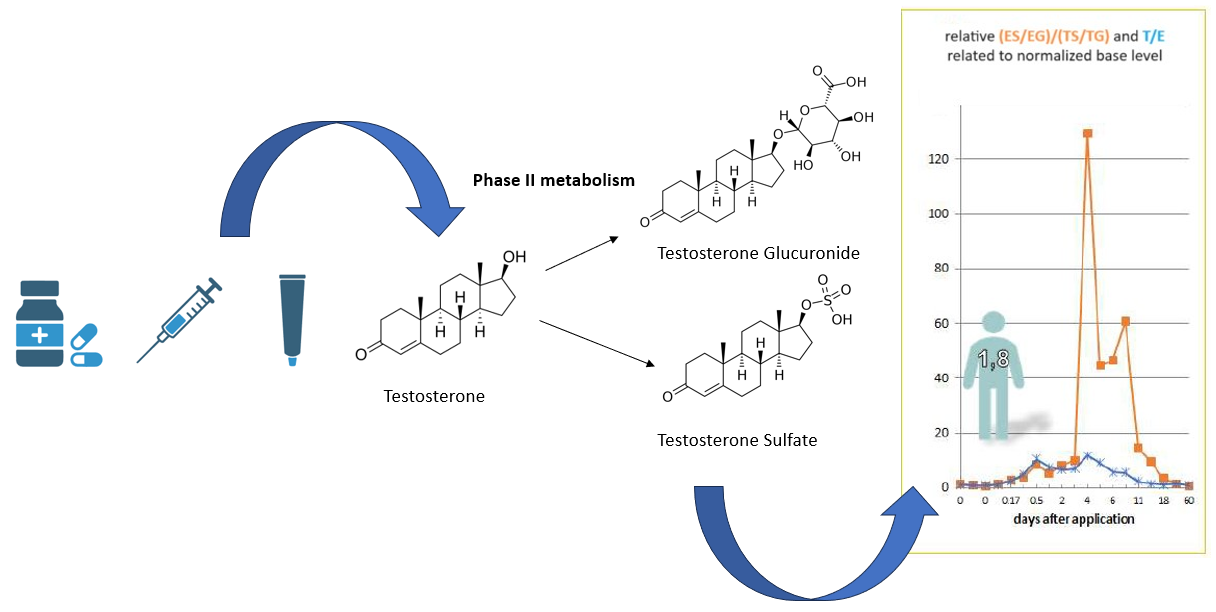 Steroids_project.jpg hh