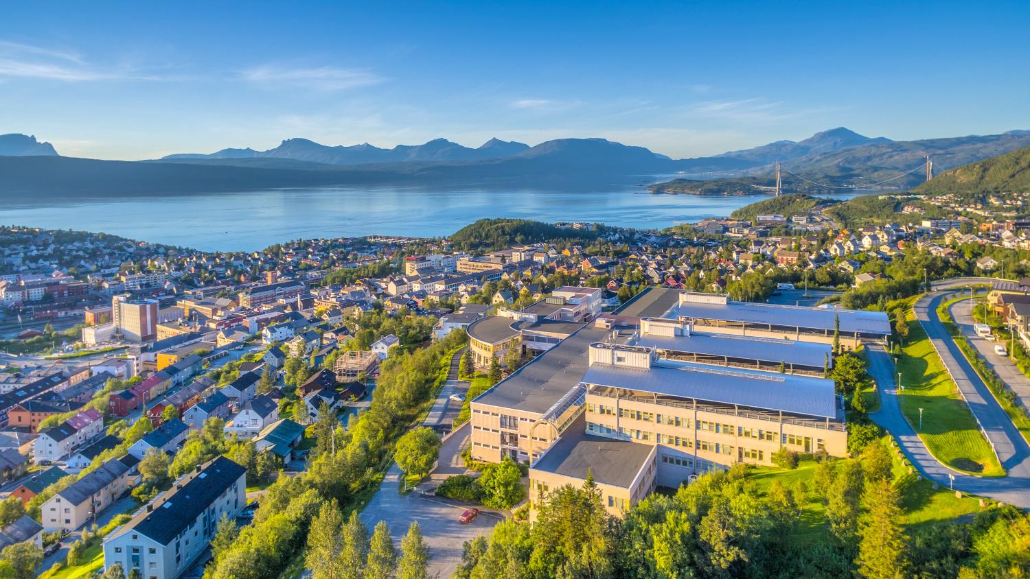 Illustrasjons-/bannerbilde for Studiestart UiT i Narvik 2025 - Offisiell åpning