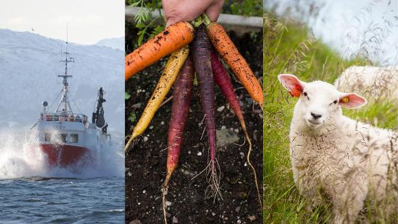 Illustrasjonsbilde for En motstandsdyktig befolkning i nord: Matproduksjon og matberedskap i kriser og krig