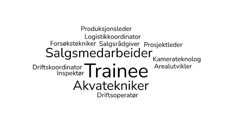 B-FISK, stillingstittel.jpg Ordsky