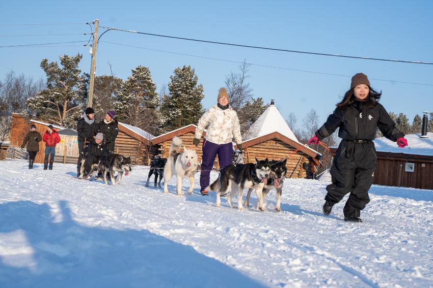 turister som driver med hundekjøring 