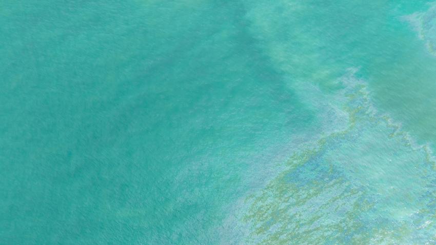 olje i havet 