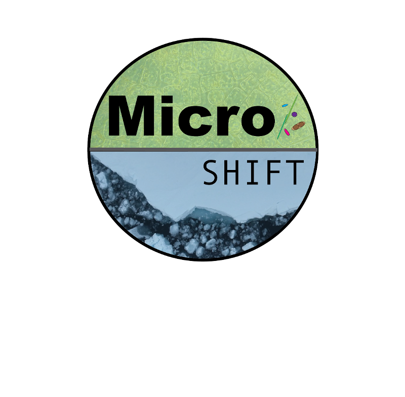 Micro-SHIFT logo
