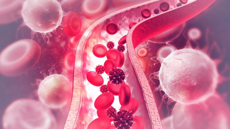 Illustrasjons-/bannerbilde for Cerebral blodstrøm og metabolisme / Cerebral blood flow and metabolism