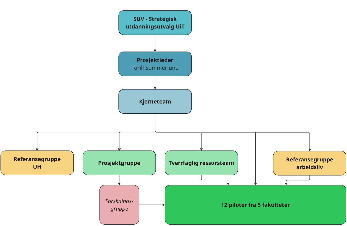 Organisasjonskart for prosjektet som viser de ulike rollene og grupperingene i relasjon til hverandre. 