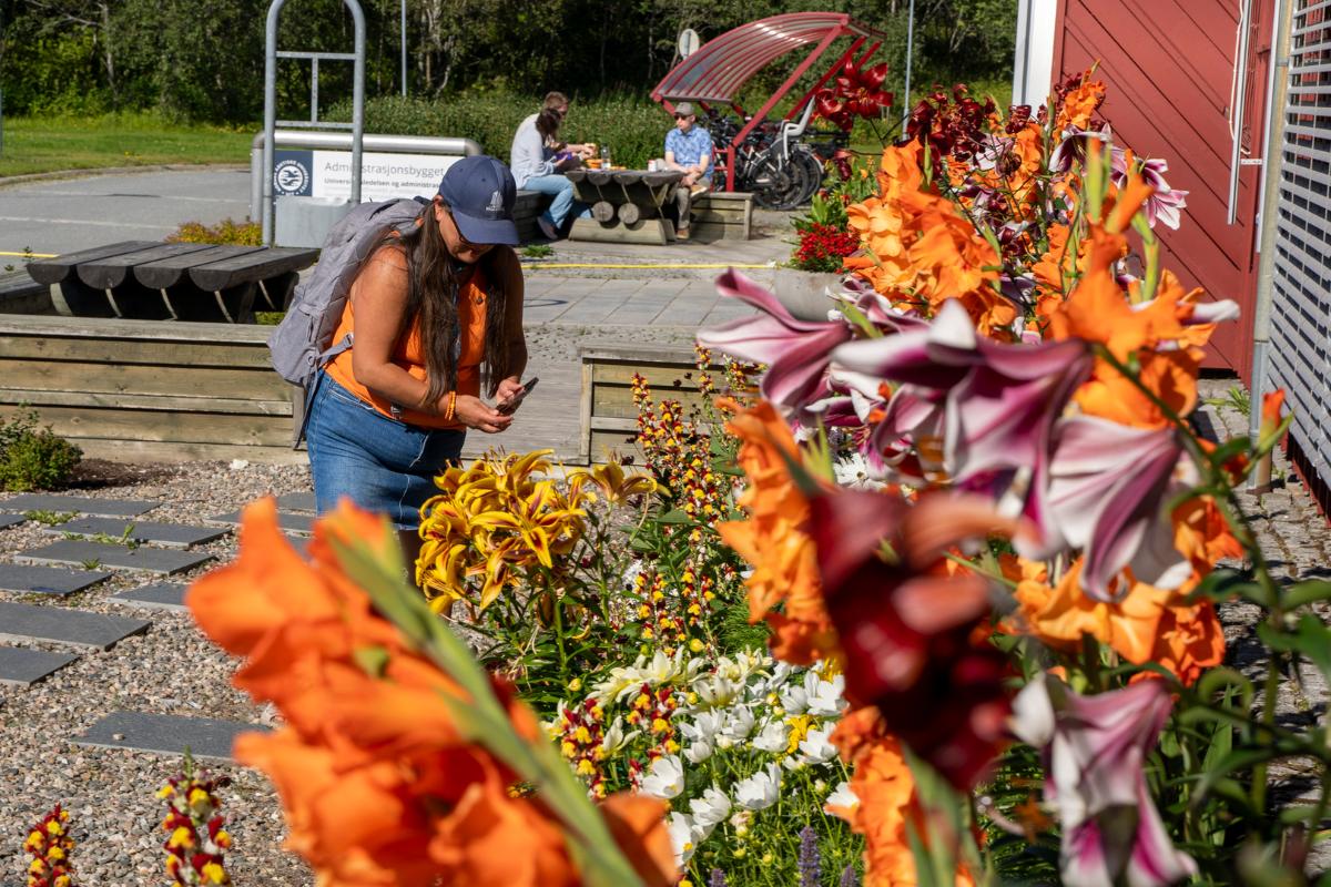 Foto: Jakob Bjørvig Henriksen/UiT