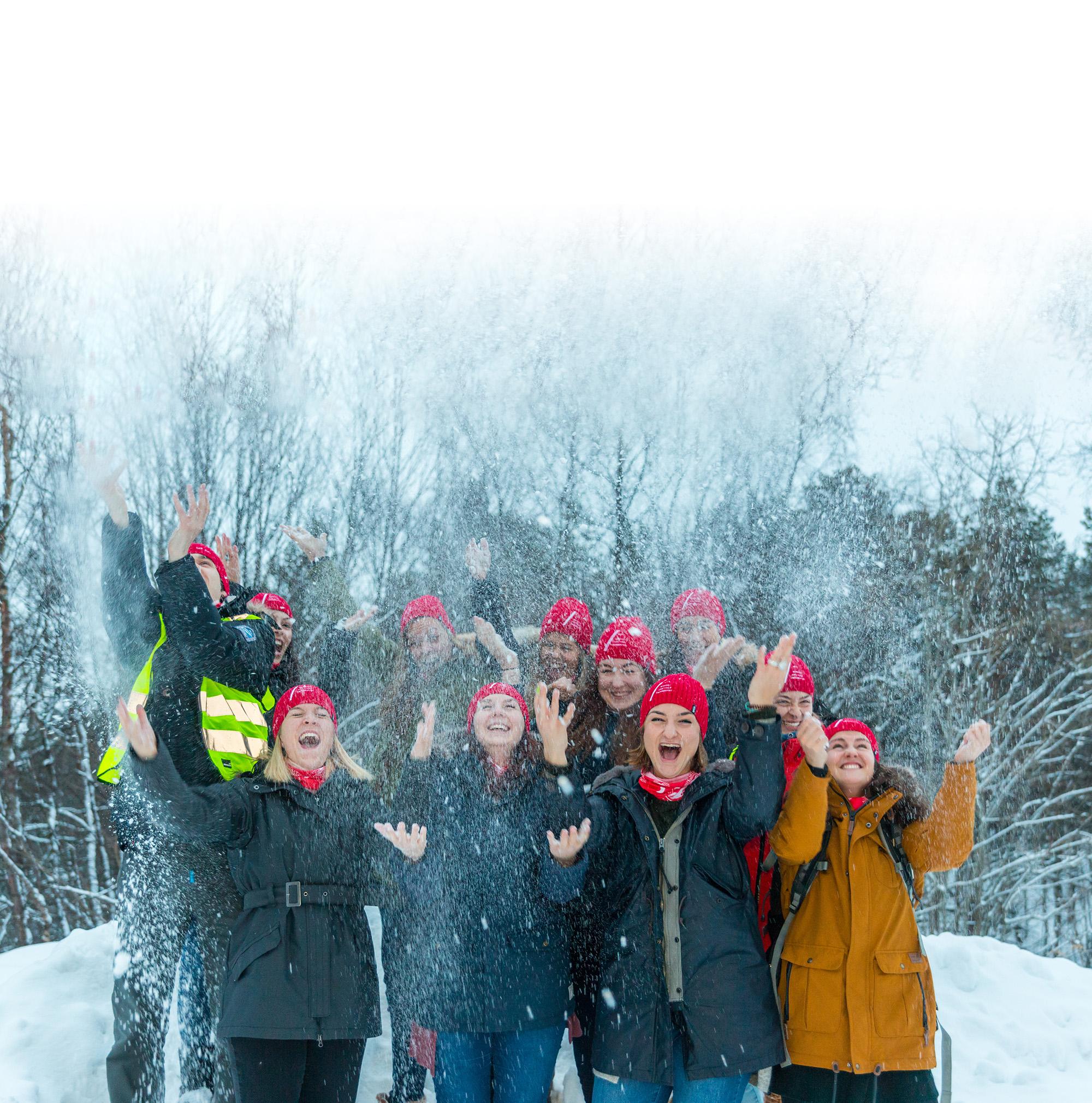 Illustrasjons-/bannerbilde for Career service - Students and PhD-candidates 