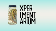 Bilde Xperimentarium