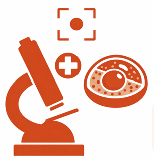 Illustrasjonsbilde for Bioscopy Conference 2026