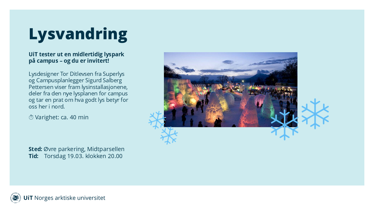 Illustrasjons-/bannerbilde for Lysvandring p&aring; campus