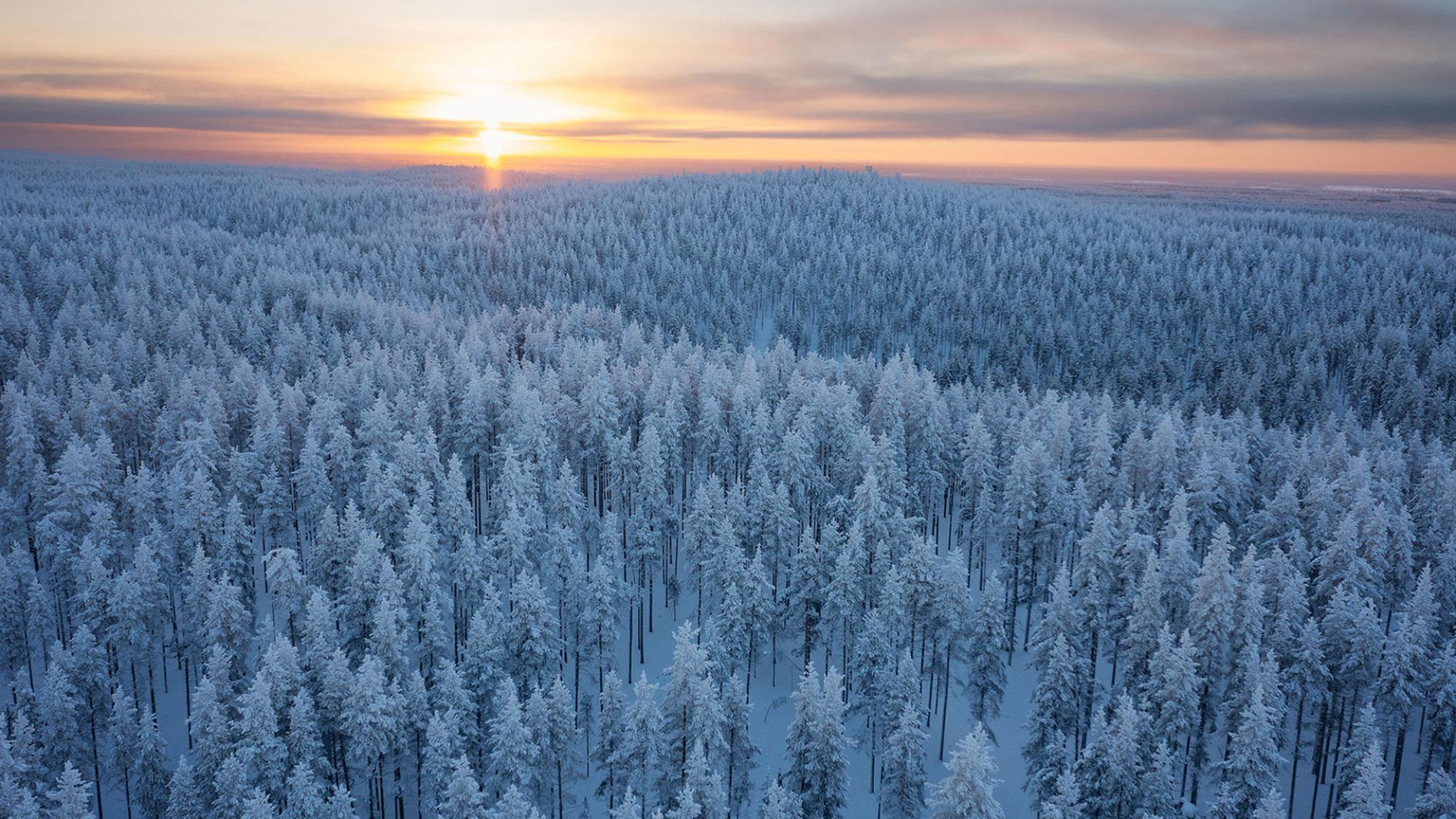 Illustrasjons-/bannerbilde for Arctic Security Forum 2026: Opening Pathways to Northern Collaboration