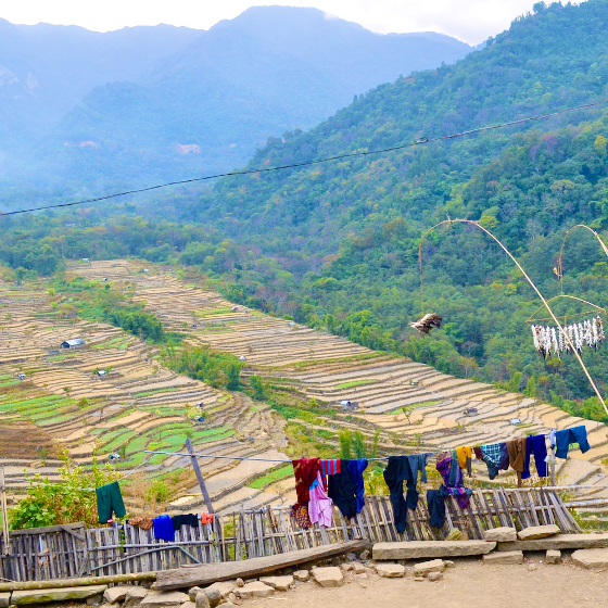 Illustrasjonsbilde for Hierarchies of Earth: Caste, Indigeneity, and the Politics of Land, Life, and Ecological Futures