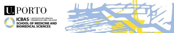 Illustrasjonsbilde for Hybrid summer school on Nano4Aquaculture: One Health Solutions