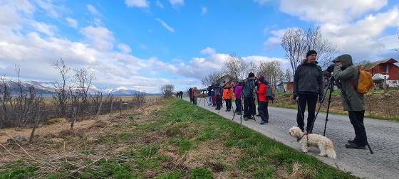 Illustrasjonsbilde for Guidet fugletur på Tisnes med BirdLife Tromsø