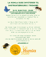 Bilde Instruktørkurs, humlevandring - Tromsø | Arr: La Humla Suse