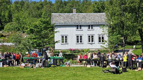 Illustrasjonsbilde for Markedsdag i Botanisk hage