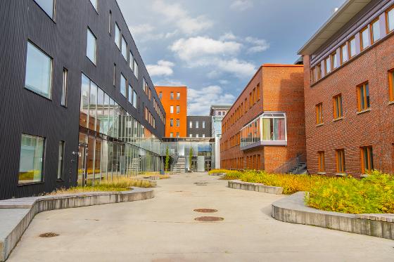 Illustrasjonsbilde for The Human University in a Digital Age