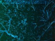 Bilde Environmental humanities gathering #84: Deleuze and Guattari reading group chapter 11 