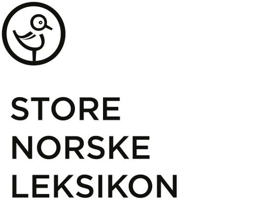 Illustrasjonsbilde for Samling med Store norske leksikon 