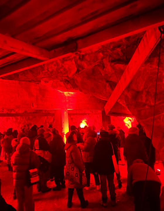 Illustrasjonsbilde for ArcHum Research Seminar: Kunstbiennaler i nord - øvelser i beredskap