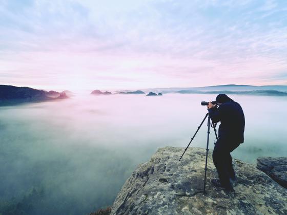 Illustrasjonsbilde for Exhibition of 